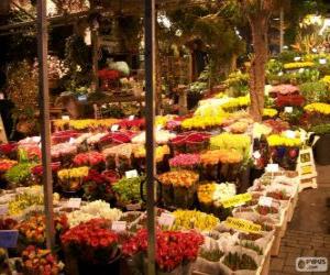 Puzzle Αγορά των λουλουδιών, Άμστερνταμ, Ολλανδία